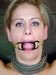 Bimbo